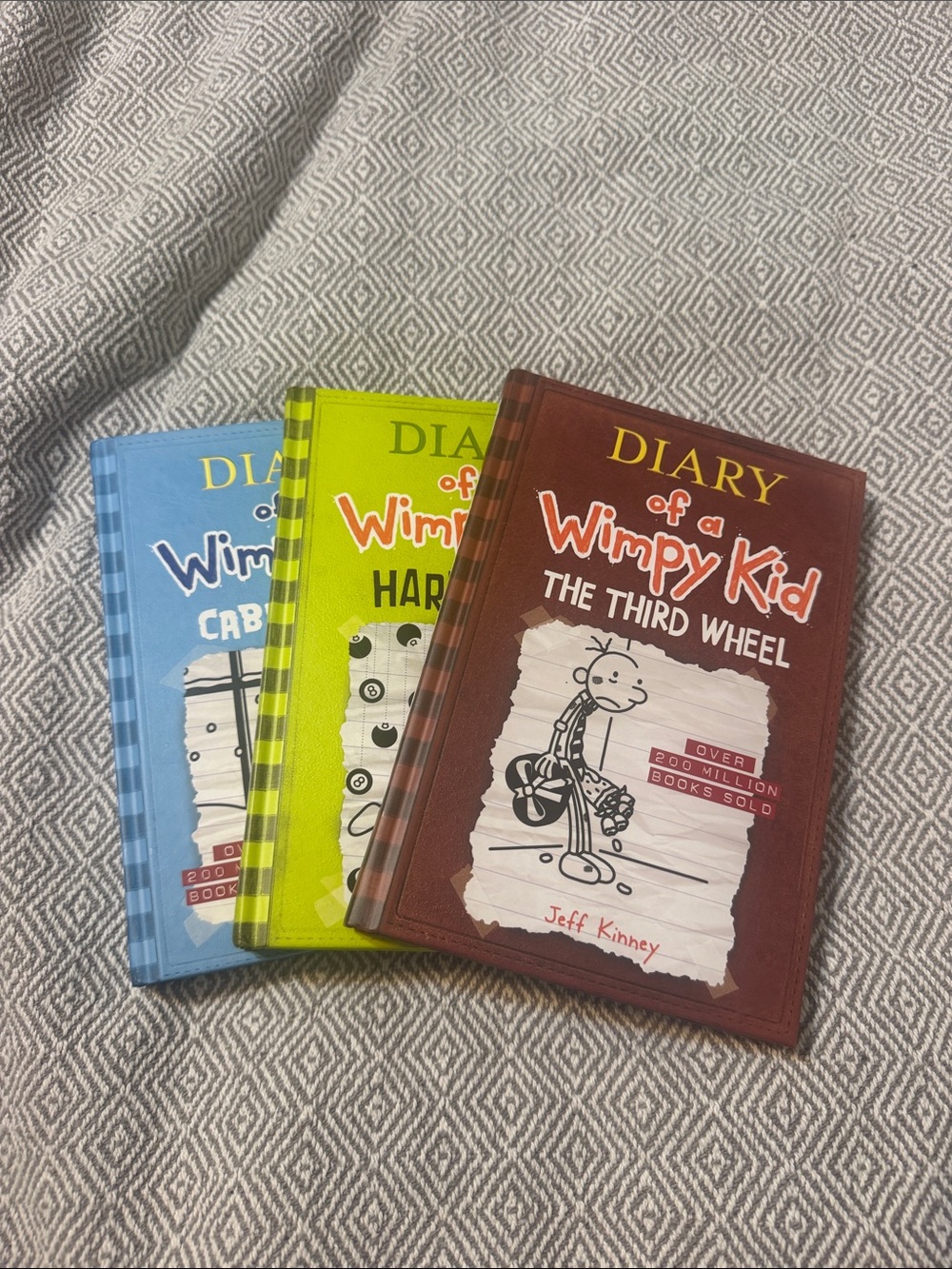 Diary of a Wimpy Kid: The Third Wheel - Brown Kids Hardcover Book